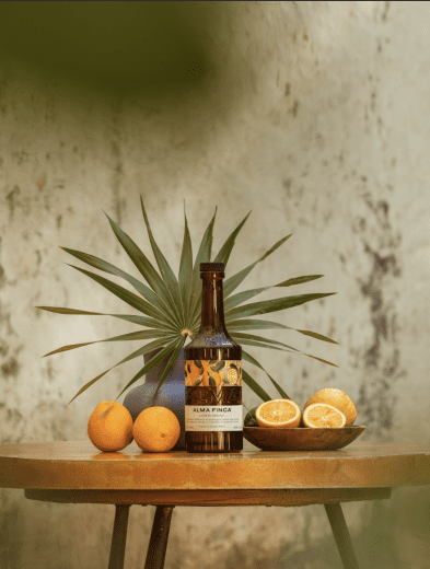 Shake That Citrus 2025: La Margarita vuelve a sus raíces… con todo el sabor de Yucatán 34 1 16
