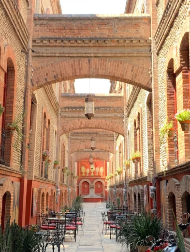 Donde la cultura se degusta: La Privada Roja, un enclave de identidad 33 2021 09 07 1
