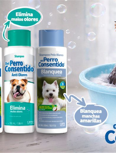 Aprende a bañar a tu lomito en 10 pasos, con la guía Del Perro Consentido 38 PETCARE