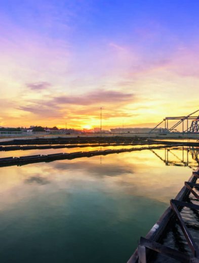 Día Mundial del Agua: La escasez hídrica ya no es un riesgo ambiental, es un riesgo de negocio 32 RSA3