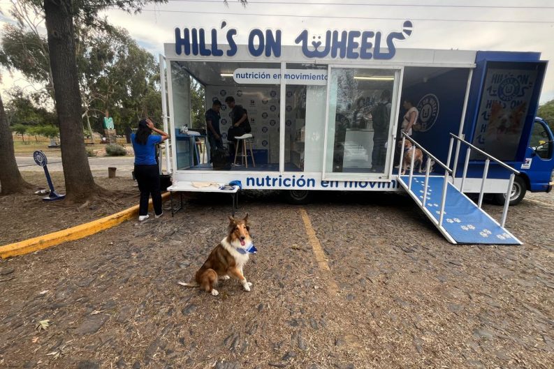 Hills on Wheels 3