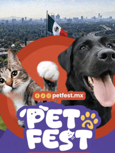 ¿Tu perro puede elegirte? PETFEST 2026 llega a CDMX con adopciones inéditas, cine al aire libre y experiencias para humanos y mascotas 24 Screenshot at May 13 13 06 49
