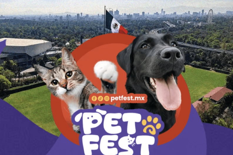 ¿Tu perro puede elegirte? PETFEST 2026 llega a CDMX con adopciones inéditas, cine al aire libre y experiencias para humanos y mascotas 40 Screenshot at May 13 13 06 49