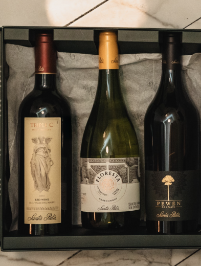 ¡La mejor bodega del mundo conquista México! Santa Rita sella alianza con IDI para liderar el boom del vino premium 33 Screenshot at May 15 19 38 37