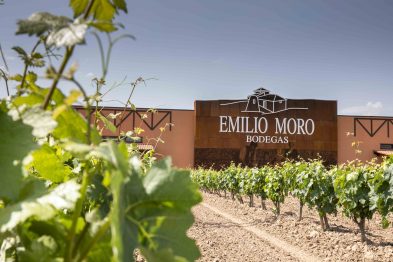 El regalo perfecto para papá: Cómo elegir el vino ideal según su personalidad 44 Copia de BODEGAS EMILIO MORO9 1