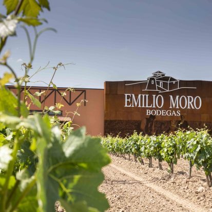 Copia de BODEGAS EMILIO MORO9 1