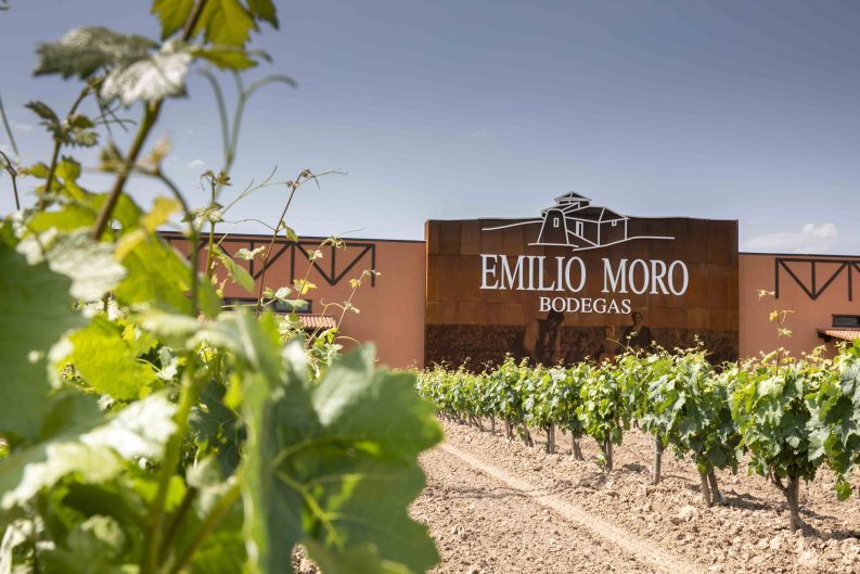 El regalo perfecto para papá: Cómo elegir el vino ideal según su personalidad 40 Copia de BODEGAS EMILIO MORO9 1