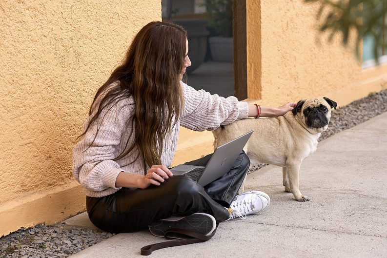 Más que un compañero: Por qué las oficinas "Pet Friendly" son el futuro del trabajo 31 MARS MX QRO DSC00530