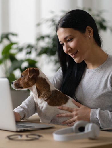 ¿Tu perro está listo para la oficina? 5 claves para un "coworker" canino feliz 32 Perro en oficina 2