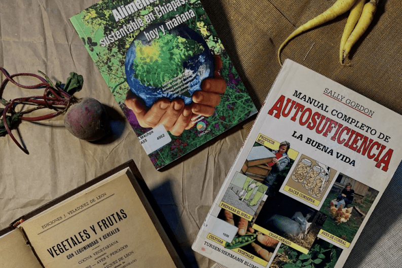 Gastronomía Sostenible: El movimiento de Fundación Herdez contra el desperdicio alimentario 40 Screenshot at Jun 16 15 26 31