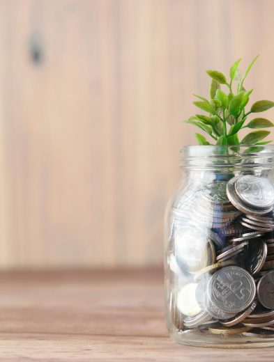 ¿Por qué los biomateriales son el eslabón perdido de la economía circular? 32 towfiqu barbhuiya joqWSI9u XM unsplash