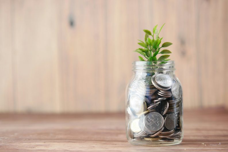 ¿Por qué los biomateriales son el eslabón perdido de la economía circular? 43 towfiqu barbhuiya joqWSI9u XM unsplash