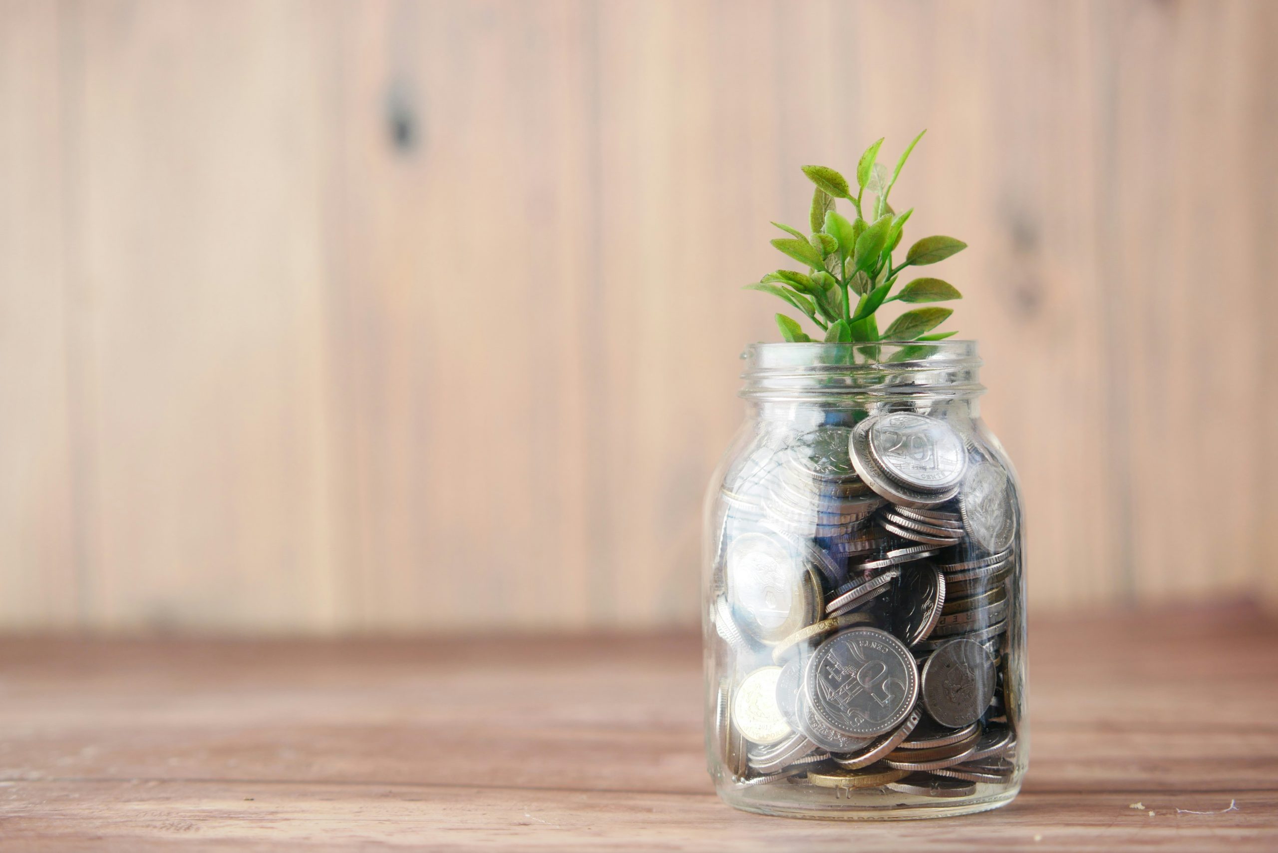 ¿Por qué los biomateriales son el eslabón perdido de la economía circular? 31 towfiqu barbhuiya joqWSI9u XM unsplash scaled
