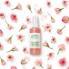 Badescu nomada