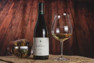 NUEVA IMAGEN BIERZO LQ 49 1
