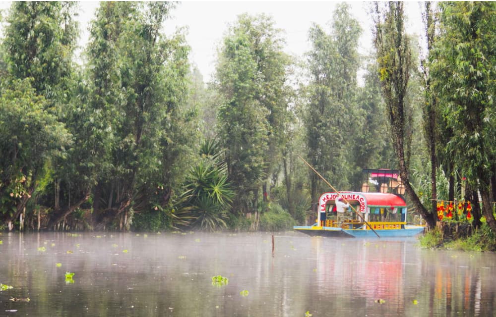 Smirnoff se une a Xochimilco: La iniciativa que está profesionalizando la seguridad y el servicio en los canales 25 Screenshot at Jul 03 16 30 23