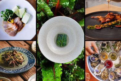 Baja California: La joya culinaria donde la sustentabilidad es el ingrediente principal 39 baja california thunder nomada 1
