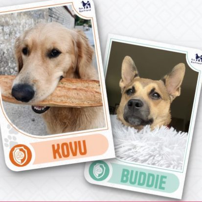 ¡A la cancha! Crea el álbum futbolero de tu mascota con Bye Bye Friend 2 bye bye friend thunder