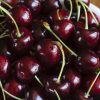 cerezas