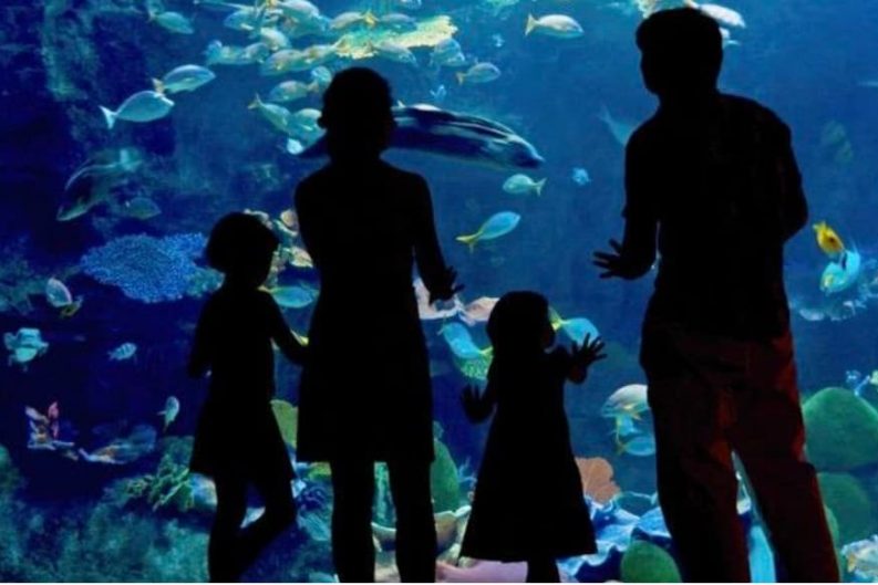 ¡Adiós al aburrimiento! Guía definitiva para unas vacaciones inolvidables con los peques 31 image 27