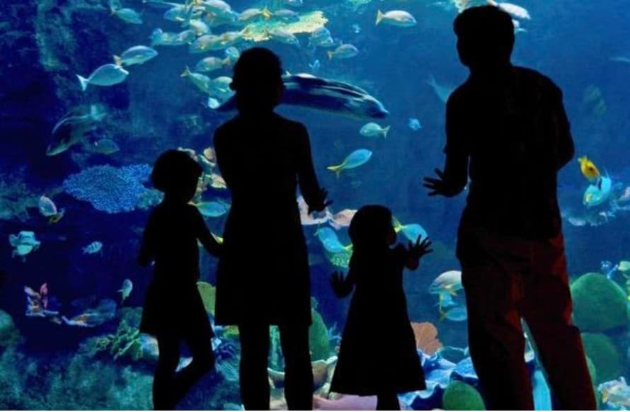 ¡Adiós al aburrimiento! Guía definitiva para unas vacaciones inolvidables con los peques 25 image 27