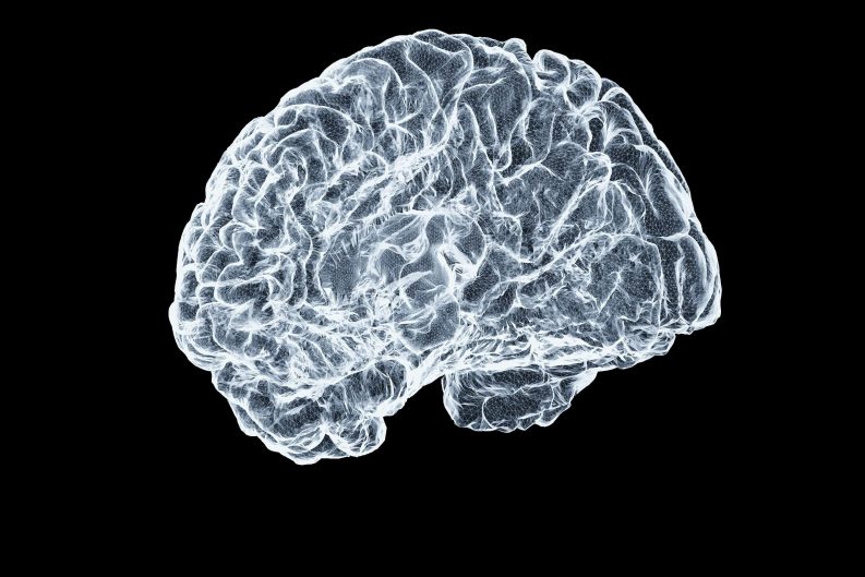 Tu corazón es la clave: Cómo proteger tu cerebro y prevenir el deterioro cognitivo 40 mayo thunder nomada