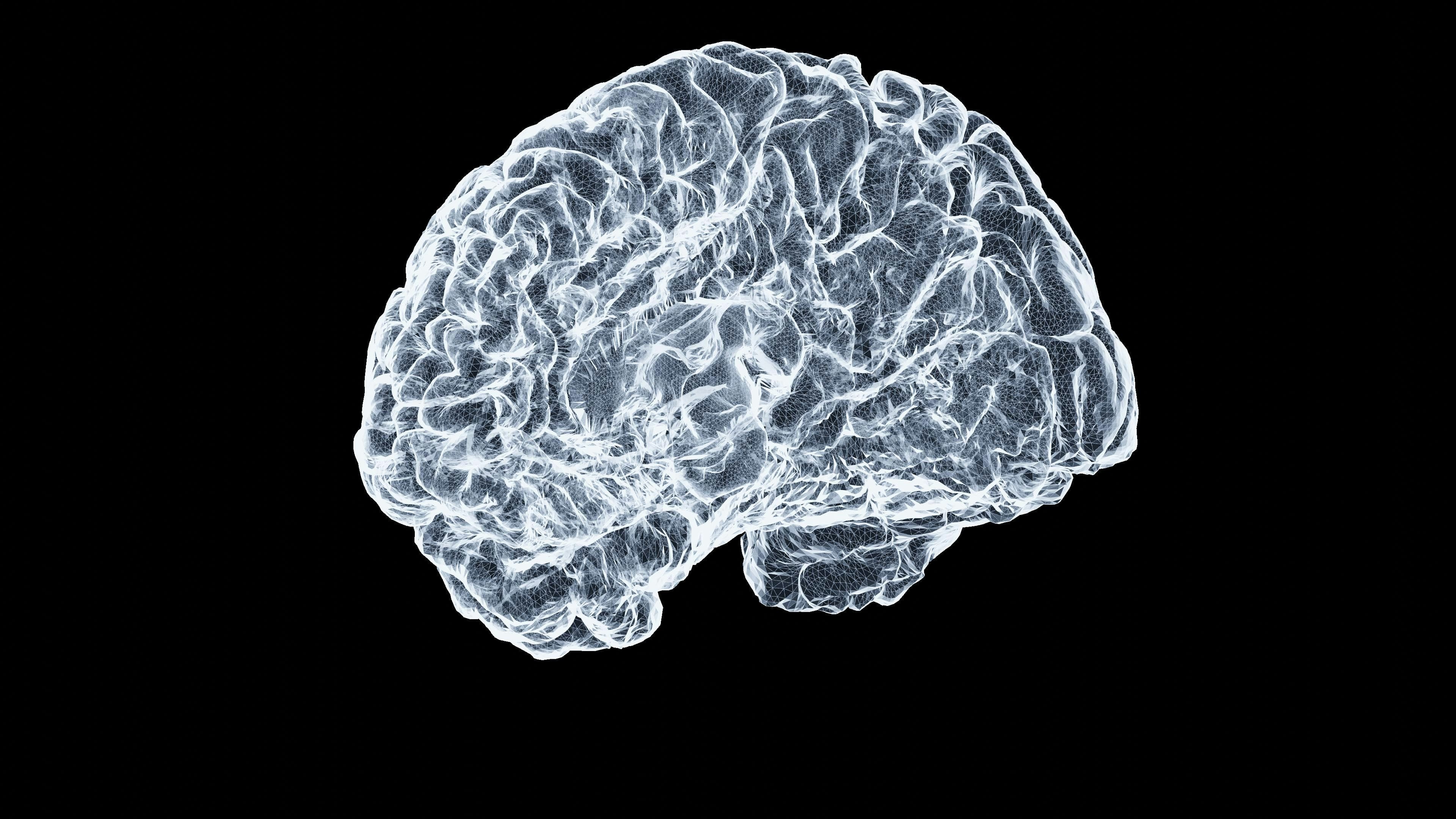 Tu corazón es la clave: Cómo proteger tu cerebro y prevenir el deterioro cognitivo 25 mayo thunder nomada