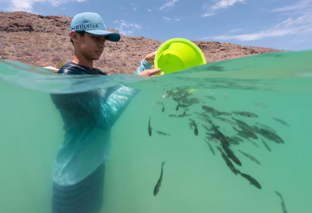 Santomar® marca un hito: 11 años devolviendo la vida al Mar de Cortés 25 santomar thunder nomada