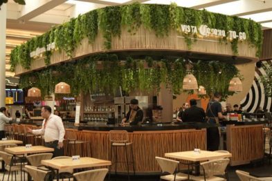 vista corona thunder nomada