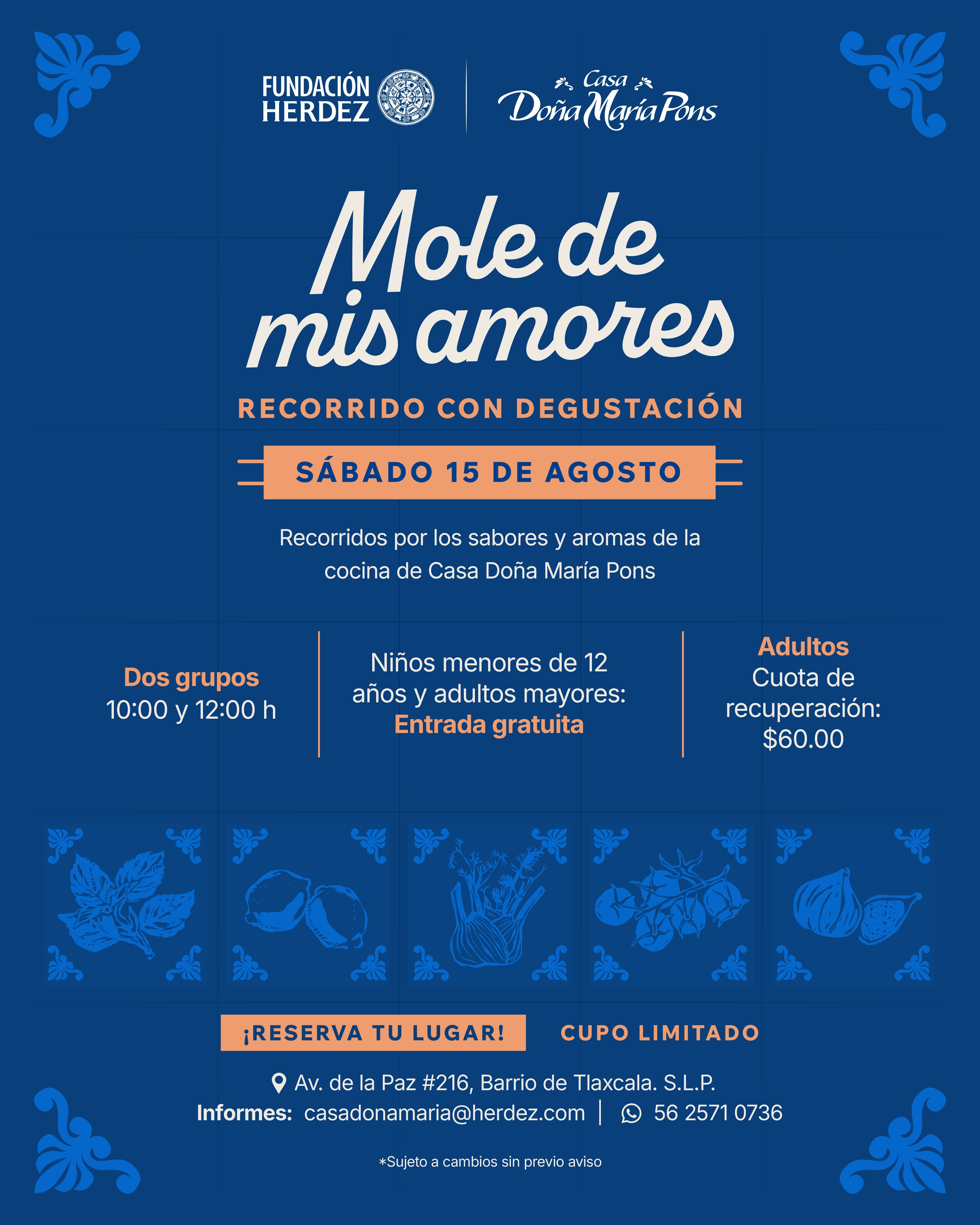 Mole de mis amores Ago26 1