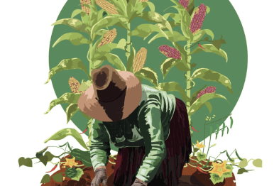 Fundación Herdez: Sembrando milpas, una reivindicación del valor biocultural y alimentario de México 35 Screenshot at Aug 31 18 22 34