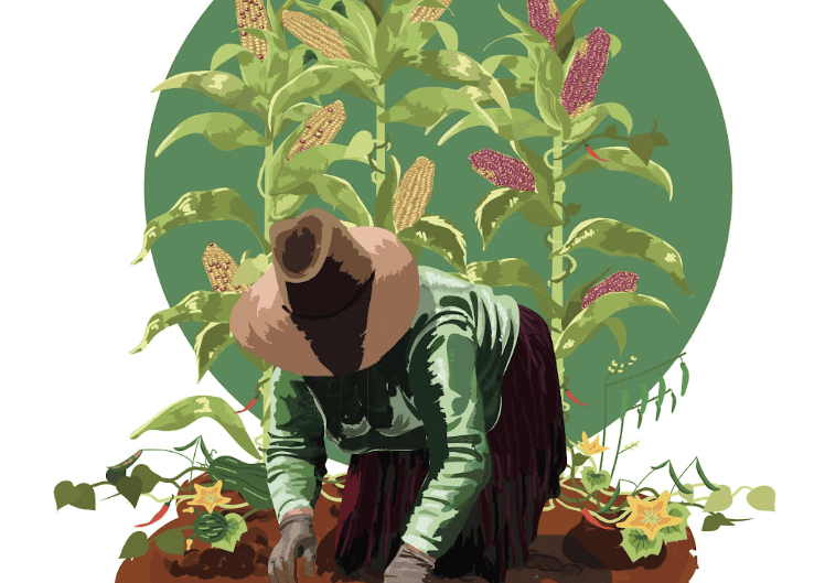 Fundación Herdez: Sembrando milpas, una reivindicación del valor biocultural y alimentario de México 37 Screenshot at Aug 31 18 22 34