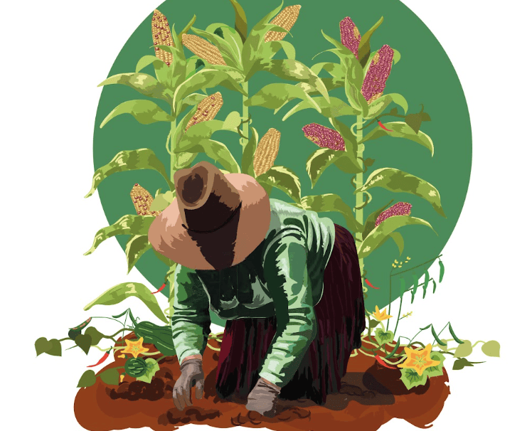 Fundación Herdez: Sembrando milpas, una reivindicación del valor biocultural y alimentario de México 25 Screenshot at Aug 31 18 22 34