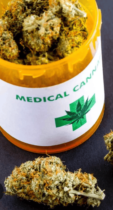 Medicina cannábica: del estigma a la investigación; el Dr. David Montalvo explica qué hay detrás de sus posibles aplicaciones terapéuticas 29 image 10