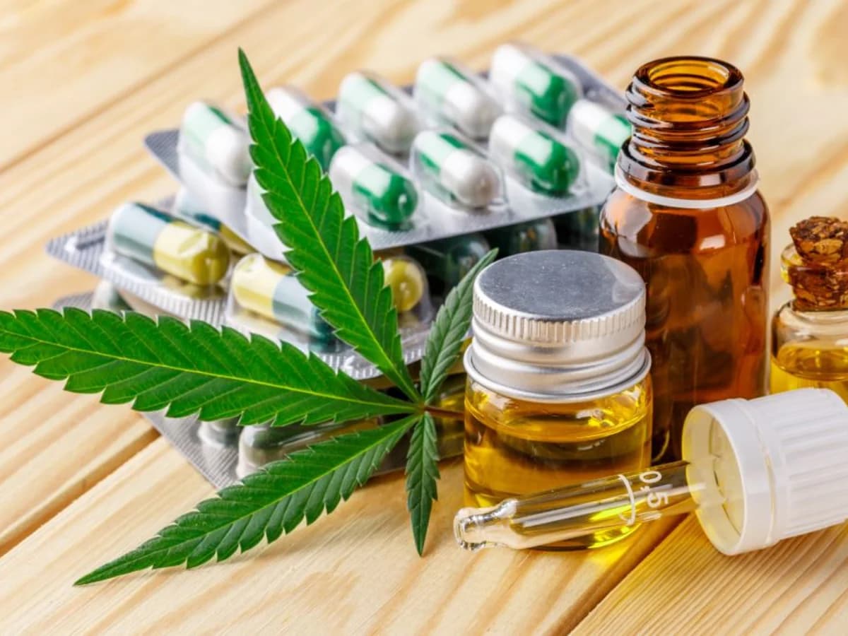 Medicina cannábica: del estigma a la investigación; el Dr. David Montalvo explica qué hay detrás de sus posibles aplicaciones terapéuticas 25 image 2 5