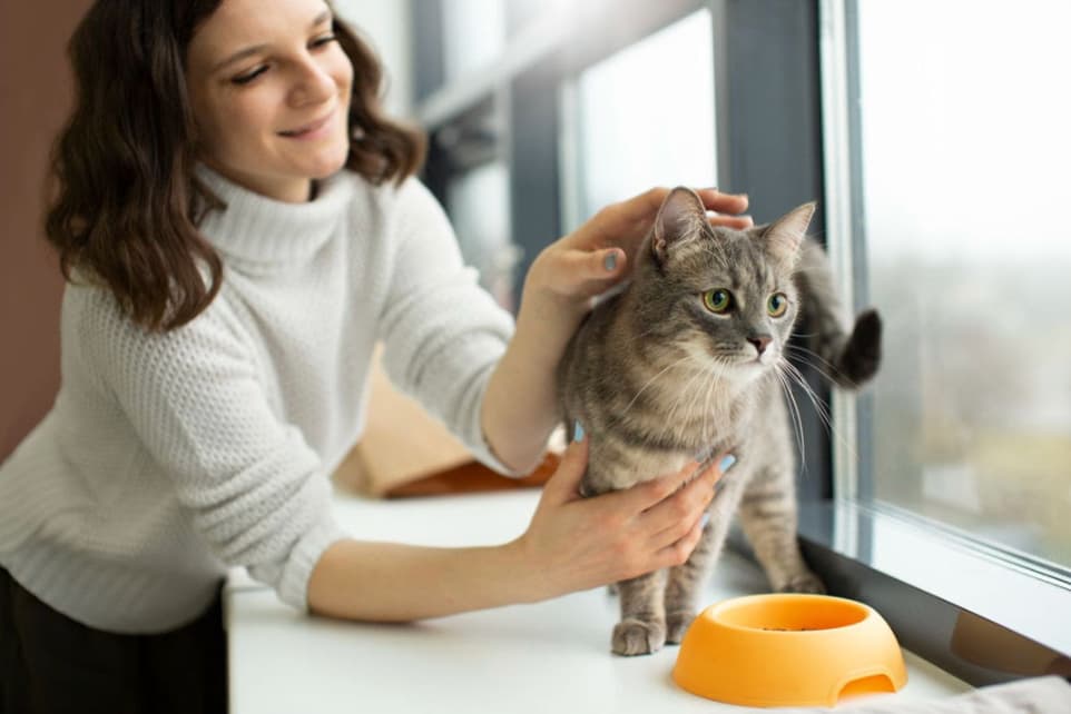 MSD Salud Animal: El gato ya es la segunda mascota en México, pero solo el 16% de los tutores prioriza su vacunación 25 image 3 1