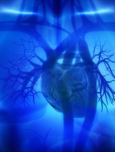 Amgen México lanza urgente llamado a la prevención: un tercio de la población vive con colesterol LDL elevado sin saberlo 36 AMG IMG Coronary arteries auricles ventricles in human heart 1