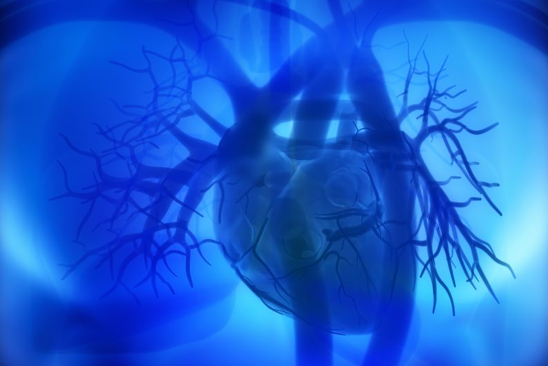 Amgen México lanza urgente llamado a la prevención: un tercio de la población vive con colesterol LDL elevado sin saberlo 40 AMG IMG Coronary arteries auricles ventricles in human heart 1