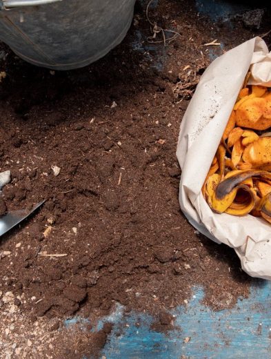 Marco y BAMX: el alto costo de exportar alimentos perecederos a EE. UU. y el reto de evitar el desperdicio 36 WhatsApp Image 2026 09 22 at 12.24.42