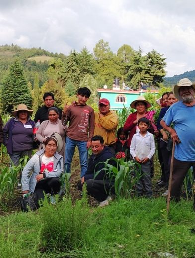 Pronatura impulsa Alianzas Climáticas: una respuesta comunitaria frente a la migración y la crisis en el campo 34 WhatsApp Image 2026 09 23 at 11.21.43