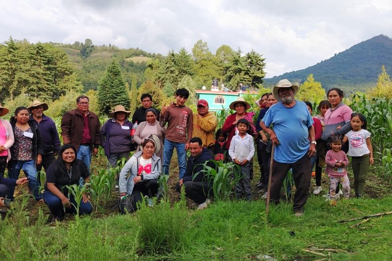 Pronatura impulsa Alianzas Climáticas: una respuesta comunitaria frente a la migración y la crisis en el campo 37 WhatsApp Image 2026 09 23 at 11.21.43