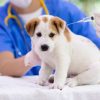 image 13 3