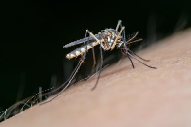 Takeda advierte que la baja de casos en 2026 no elimina el riesgo y urge a prepararse ante el próximo brote de dengue en América Latina 32 image 23