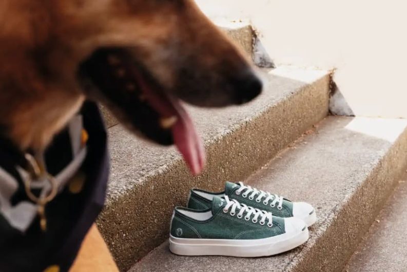 Converse y Palmes presentan el nuevo Jack Purcell PDM: El regreso de un ícono de las canchas con alma contemporánea 40 image 4 5