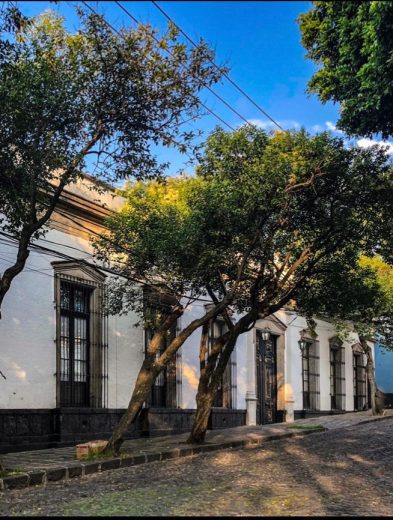 Secretos de San Ángel: El histórico barrio del sur de la CDMX que se transforma con ofrendas, memoria y leyendas para el Día de Muertos 27 7 Credito Hector Velazquez
