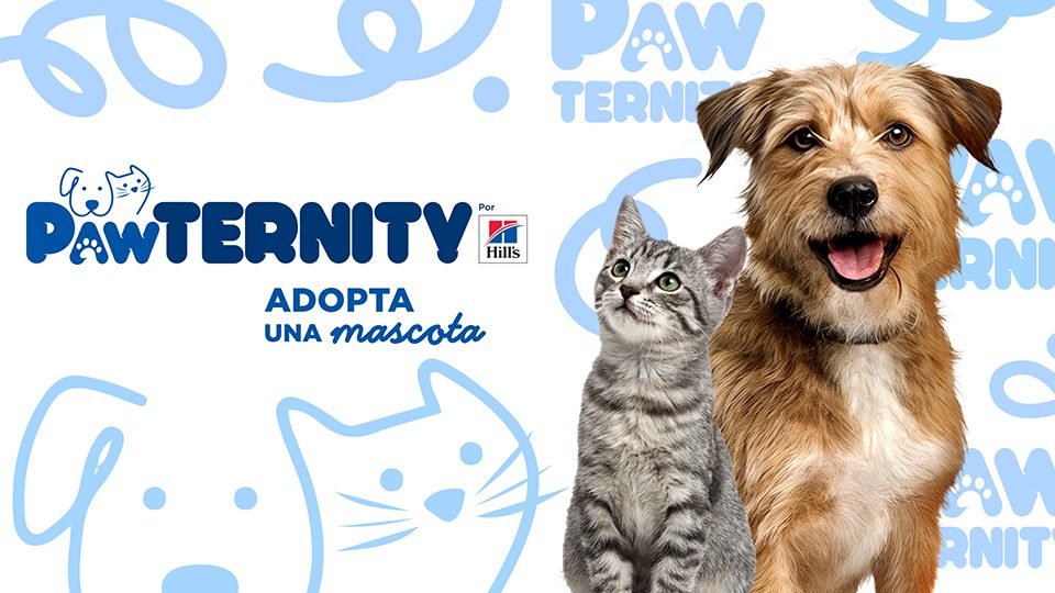 Segundas oportunidades que transforman vidas: Hill’s Pet Nutrition lanza "Pawternity" para impulsar la adopción consciente en México 27 Adopta una mascota