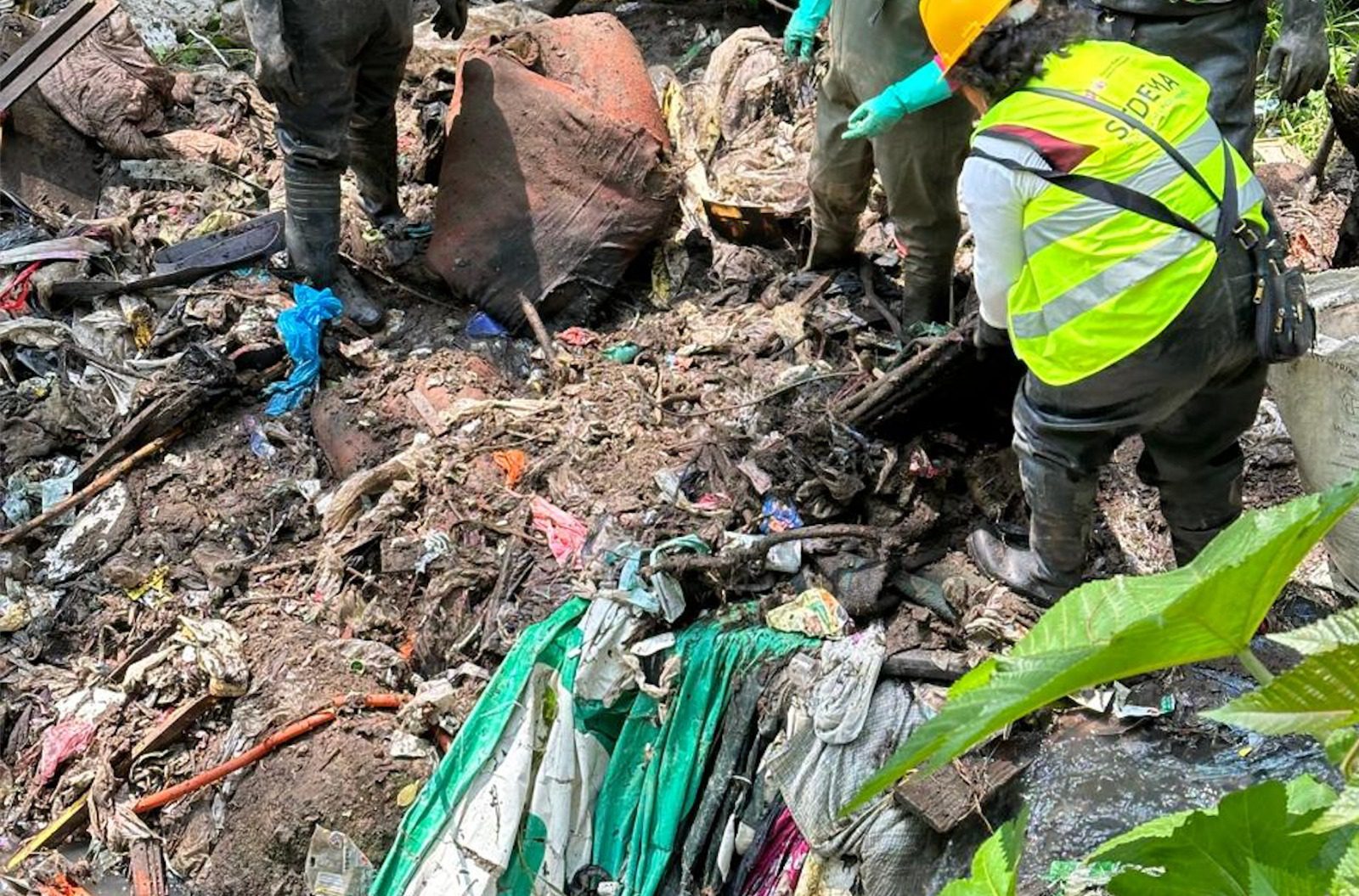 Revoluciona tu armario por el planeta: Conoce "Auditoría de Clóset por el Clima" y cómo reciclar tus prendas en México 25 WhatsApp Image 2026 10 07 at 11.40.54