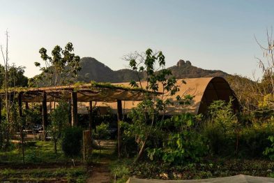Parcela: el restaurante de Tepoztlán que conquista a quien lo visita 36 image 1 47