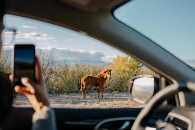 Escapadas en grupo y por carretera: Tres destinos imperdibles a menos de dos horas de la CDMX para el fin de semana 32 image 1 8