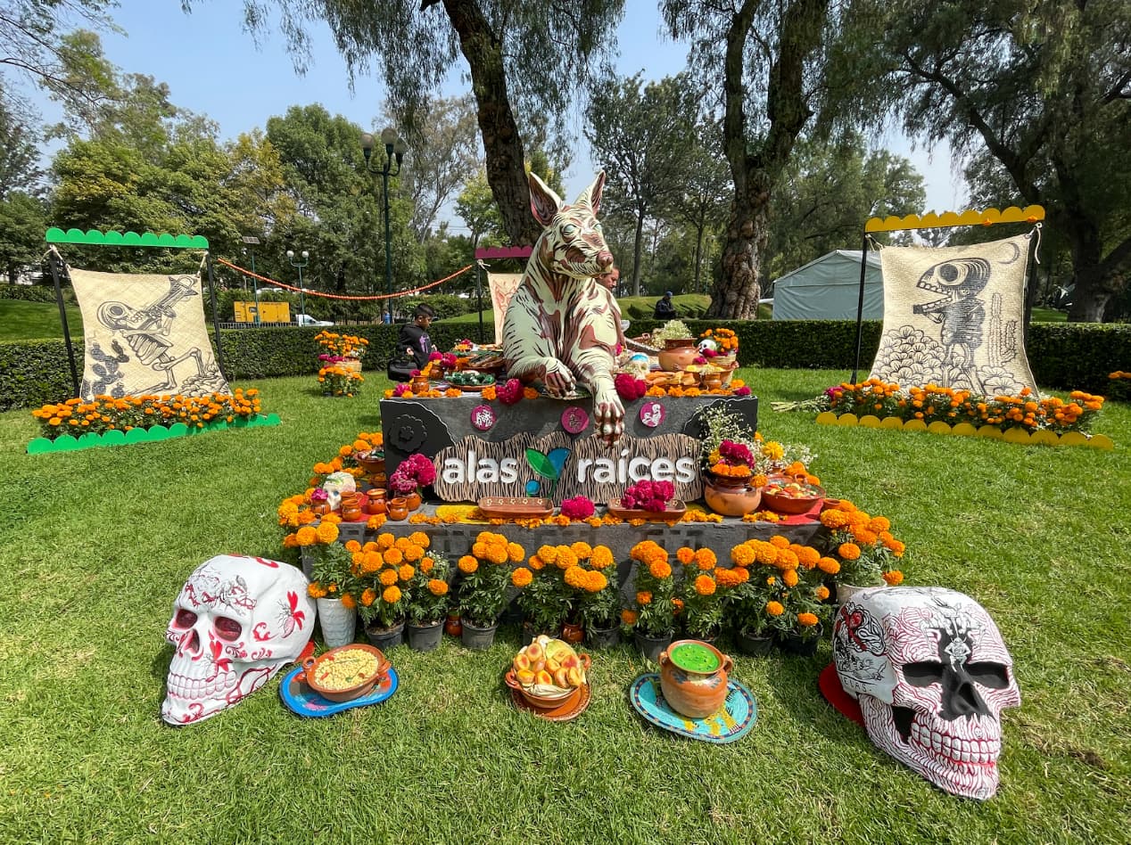 Feria de las Calacas 2026: más de 380 actividades gratuitas para celebrar el Día de Muertos en CDMX 31 image 10 11